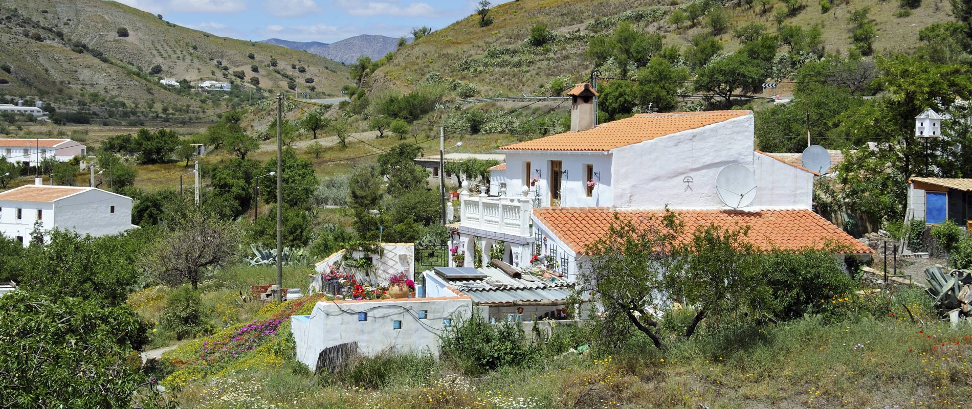 Agencia inmobiliaria en ALMERÍA Foto 5