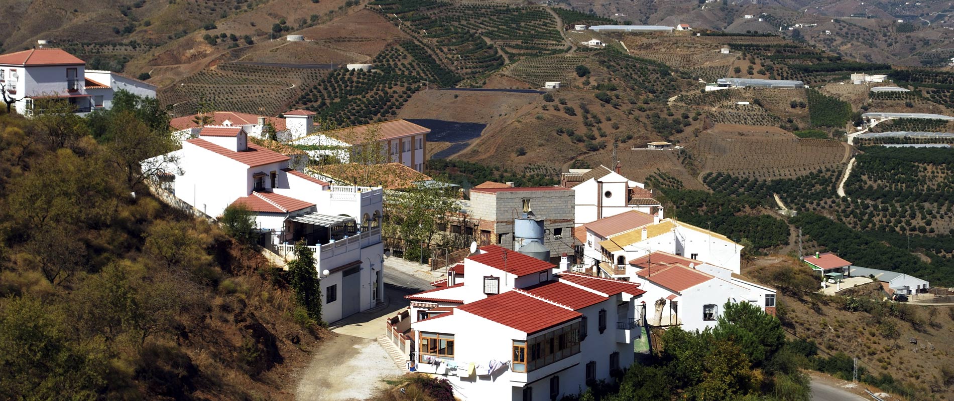 Agencia inmobiliaria en ALMERÍA Foto 6